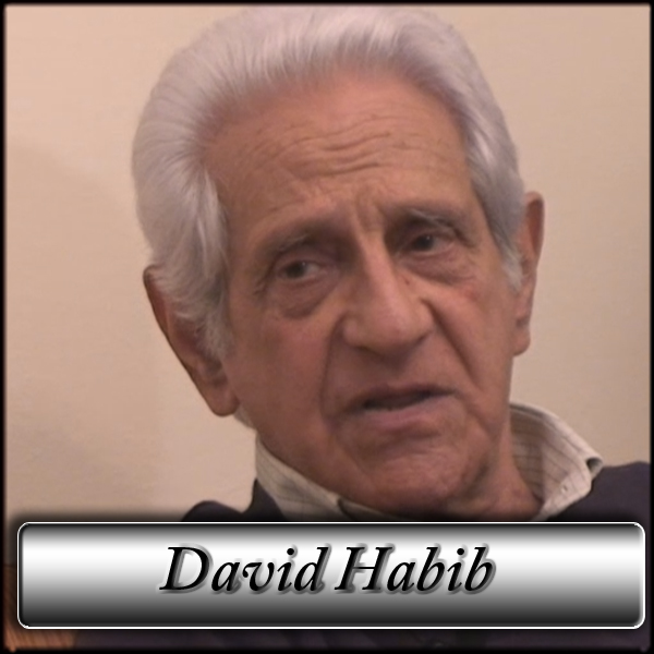 David Habib